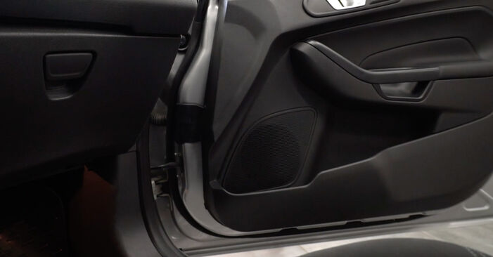 Wie Innenraumfilter beim Ford Ecosport mk2 2011 gewechselt werden - Unentgeltliche PDF- und Videoanweisungen