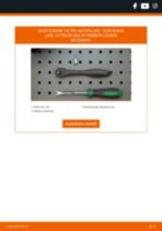Cambio Filtro antipolline carbone attivo e antibatterico FORD da soli - manuale online pdf