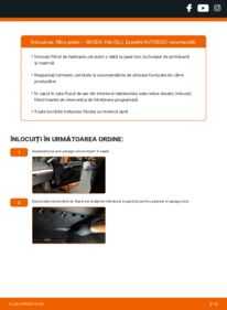 Cum să efectuați înlocuirea: Filtru habitaclu Skoda Yeti 5l 2.0 TDI 4x4