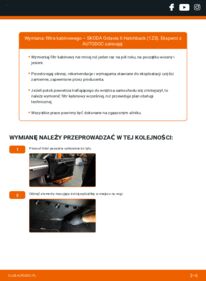 Jak wymienić Filtr powietrza kabinowy Octavia II Hatchback (1Z3) 1.9 TDI