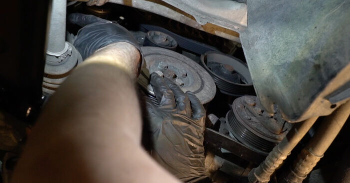 Fiat Punto mk3 199 1.4 Natural Power 2014 Keilrippenriemen wechseln: Kostenfreie Reparaturwegleitungen