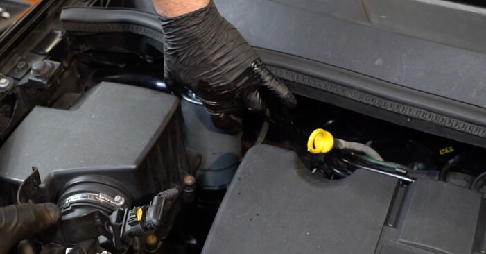 Corsa E Hatchback (X15) 1.4 LPG (08, 68) 2014 Brandstoffilter instructies voor doe-het-zelf vervangen