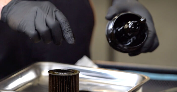 Jak vyměnit Olejovy filtr na SKODA RAPID - tipy a triky