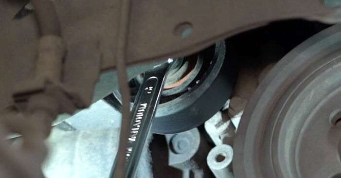Ford Focus dnw 1.8 Turbo DI / TDDi 2001 Multiriem remplaceren: kosteloze garagehandleidingen