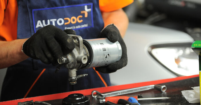 Kraftstofffilter beim HYUNDAI ix55 3.0 V6 CRDi 2013 selber erneuern - DIY-Manual