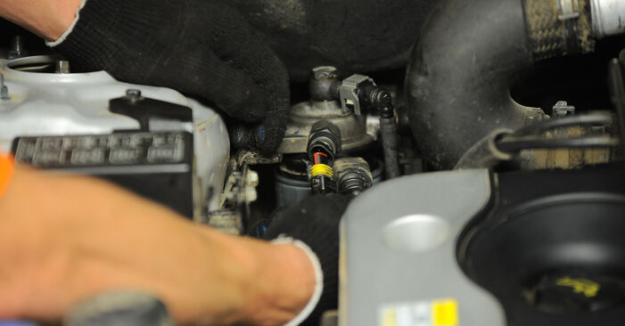 Trinn-for-trinn anbefalinger for hvordan du kan bytte Hyundai i30 Coupé 2014 1.6 T-GDI Drivstoffilter selv