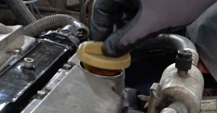 Wie man Ölfilter am OPEL Tigra Coupe (S93) 1999 wechselt – Laden Sie sich PDF-Wegleitungen und Videoanweisungen herunter