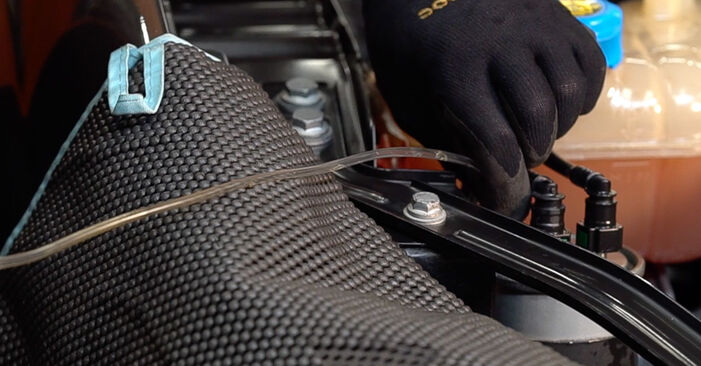 Come cambiare Filtro combustibile gasolio e benzina su FIAT Bravo II Van (198) 2013 - suggerimenti e consigli