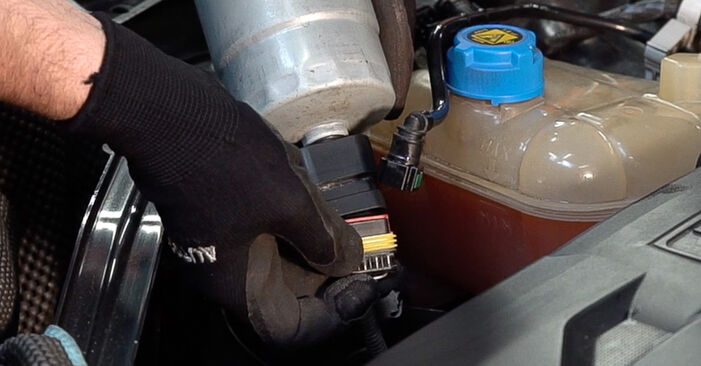 Hvordan skifte Drivstoffilter på FIAT Bravo II Van (198) 2013: Last ned PDF- og videoveiledninger