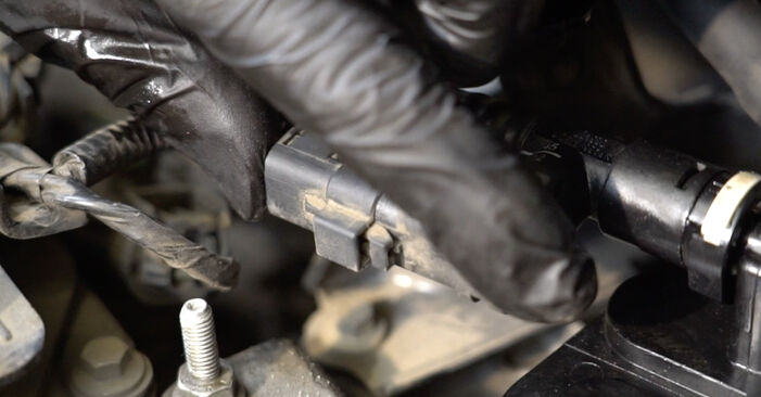 Ford Fiesta Mk6 Kastenwagen 1.6 TDCi 2011 Kraftstofffilter wechseln: Gratis Reparaturanleitungen