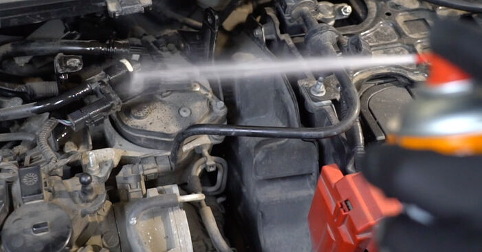 Ford Fiesta Mk6 Kastenwagen 1.6 TDCi 2011 Kraftstofffilter wechseln: Gratis Reparaturanleitungen