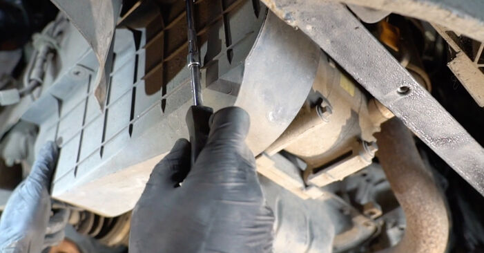 Wie problematisch ist es, selber zu reparieren: Keilrippenriemen beim Ford Fiesta Mk6 Kastenwagen 1.0 2015 auswechseln – Downloaden Sie sich bebilderte Tutorials