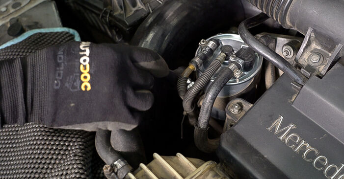 Priporočila korakov za DIY zamenjavo Mercedes W638 2001 V 200 CDI (638.294) Filter goriva