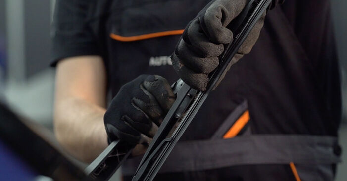 Sustitución de Escobillas de Limpiaparabrisas en un Peugeot Expert Furgón 1.6 HDi 90 16V 2009: manuales de taller gratuitos