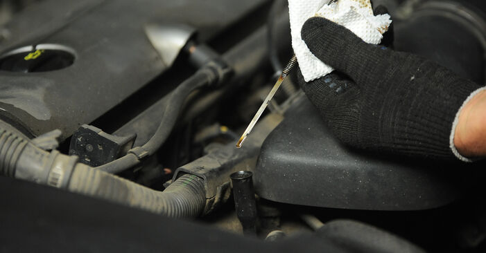 Trinn-for-trinn anbefalinger for hvordan du kan bytte Peugeot 406 Stasjonsvogn 2000 2.2 Oljefilter selv