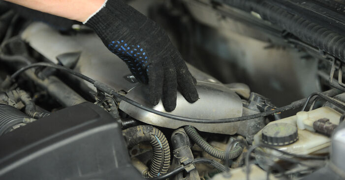 Schrittweise Anleitung zum eigenhändigen Ersatz von Peugeot 206 2A/C 2011 1.6 16V Zündkerzen