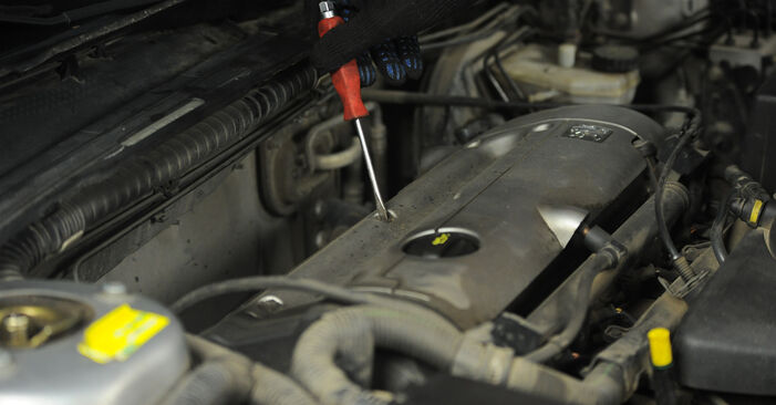 Cómo cambiar Bujía de Encendido en un Peugeot 307 Hatchback 2000 - Manuales en PDF y en video gratuitos