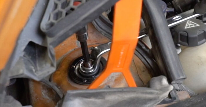 Peugeot 207 cc 1.6 HDi 2009 Stoßdämpfer austauschen: Unentgeltliche Reparatur-Tutorials