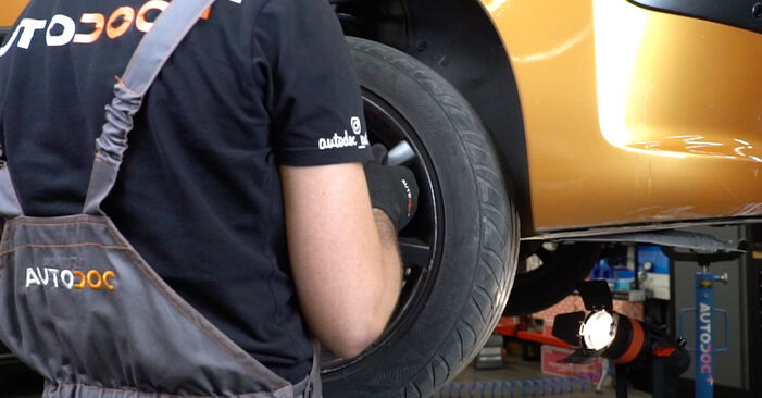 Trinn-for-trinn anbefalinger for hvordan du kan bytte Peugeot 206 2a/c 2011 1.6 16V Bremseskiver selv