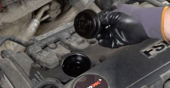 How to remove SEAT EXEO 1.6 2013 Oil Filter - online easy-to-follow instructions