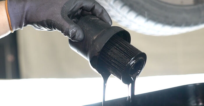 Kuinka kauan vaihtaminen kestää: Öljynsuodatin SEAT EXEO -autoon - informatiivinen PDF-käsikirja