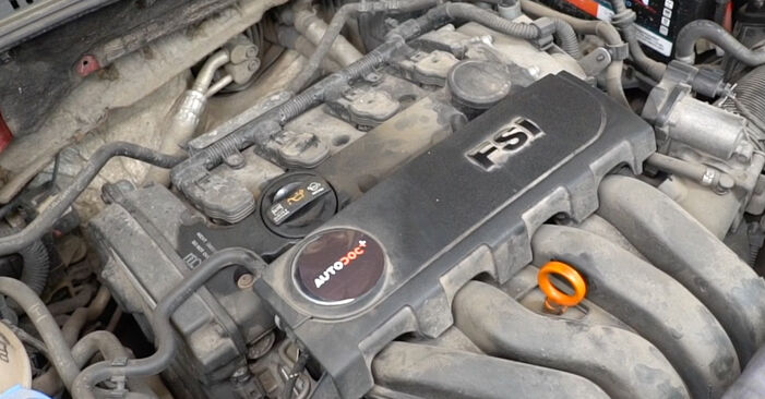 Tauschen Sie Ölfilter beim Seat Exeo Limousine 2018 2.0 TDI selber aus