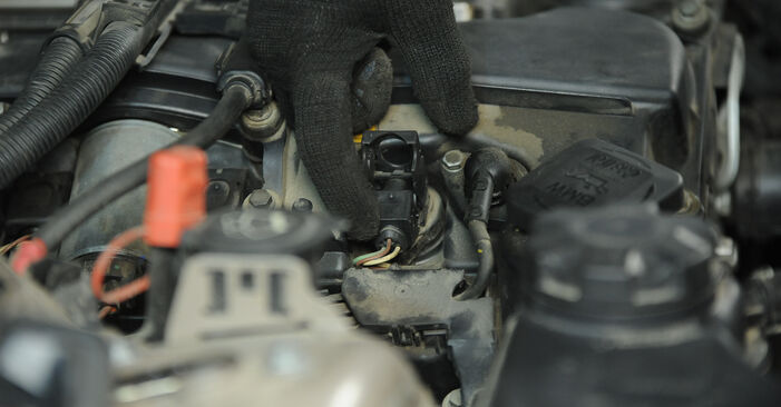 Cambio Candele di accensione GPL e benzina su BMW 3 SERIES 320 d 2011. Questo manuale d'officina gratuito ti aiuterà a farlo da solo