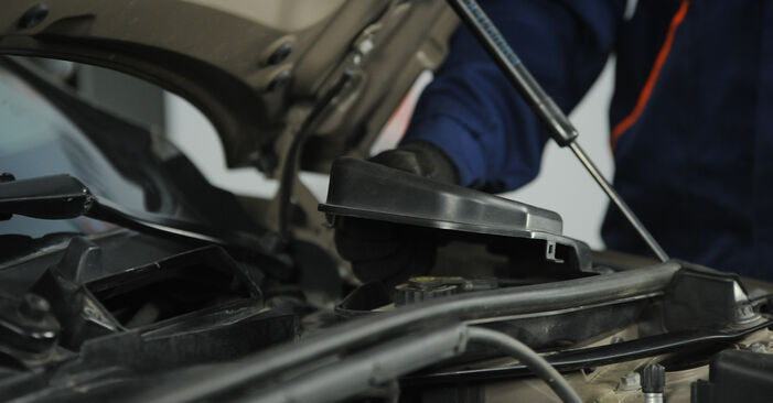 Cambio Candele di accensione GPL e benzina su BMW X1 sDrive 18 i 2009. Questo manuale d'officina gratuito ti aiuterà a farlo da solo