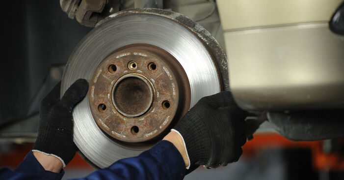 Changing of Wheel Bearing on BMW X1 E84 2010 won't be an issue if you follow this illustrated step-by-step guide