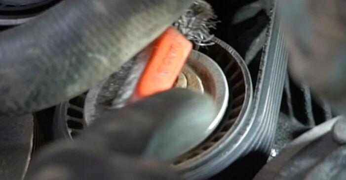 Wie schmierig ist es, selber zu reparieren: Keilrippenriemen beim Citroën C3 Pluriel 1.6 2009 wechseln – Downloaden Sie sich Bildanleitungen