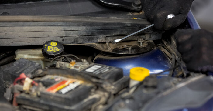 Hoe Veerpootlager FORD Fiesta Mk5 Van 2007 wisselen – raad en uitleg