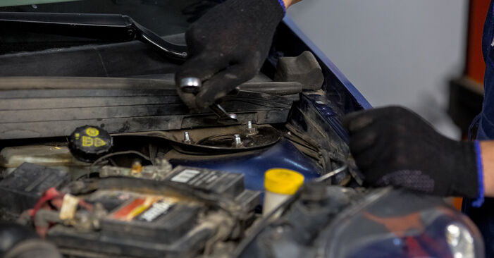 Hinweise des Automechanikers zum Wechseln von FORD Fiesta Mk5 Kastenwagen 1.6 TDCi 2009 Domlager