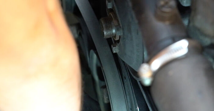 DIY replacement of Poly V-Belt on BMW 3 Coupe (E46) 330Cd 3.0 2005 is not an issue anymore with our step-by-step tutorial