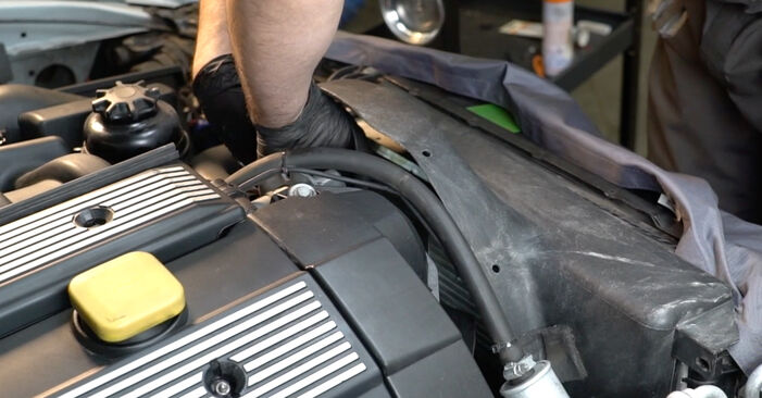 BMW Z3 Ιμάντας poly-V αντικατάσταση: δωρεάν εγχειρίδια συνεργείου