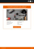 PDF Tutorial di riparazione di ricambi: Civic X Coupe (FC)