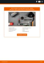 Сome cambiare Filtro Olio HONDA PRELUDE V (BB): manuale online