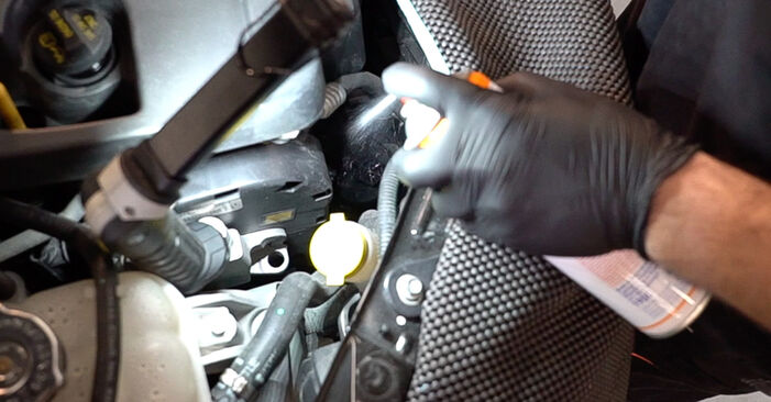 Wie man FIAT 500 1.3 D Multijet (312CXB1A) 2013 Ölfilter austauscht - Eingängige Anweisungen online