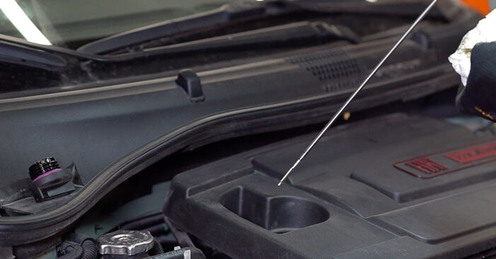 FIAT LINEA 2014 Ölfilter Schrittweise Anleitungen zum Wechsel von Autoteilen