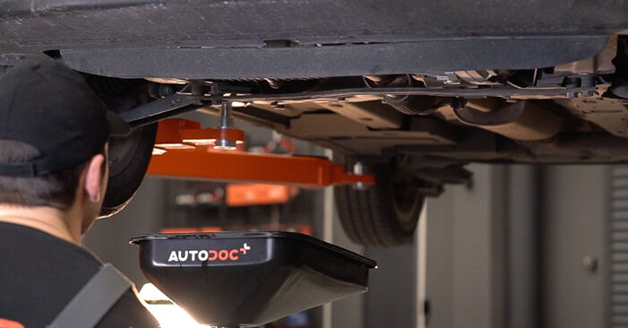 FIAT DOBLO Platform/Chassis (263) 1.3 D Multijet 2012 Olejový filter výmena: bezplatné návody z našej dielne
