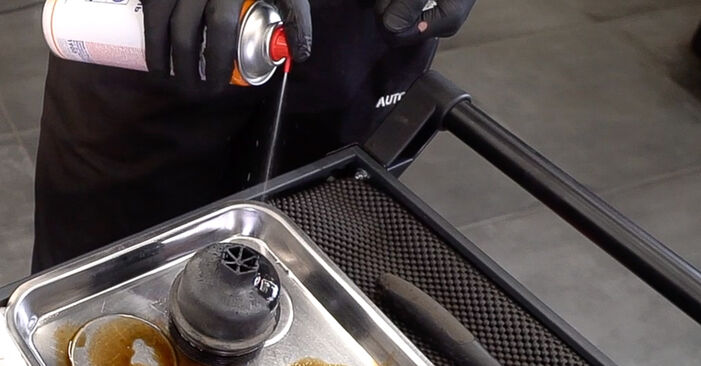 FIAT Idea (350) 1.3 D Multijet Filtr olejowy wymiana: przewodniki online i samouczki wideo