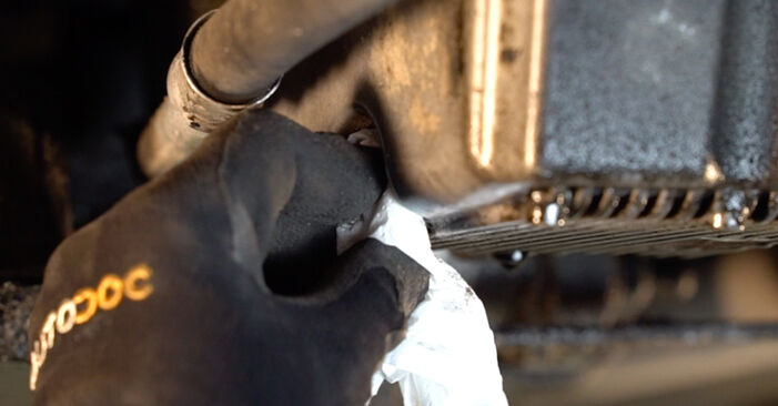 How to remove FIAT BRAVO 1.6 JTD Multijet (198AXH1B) 2012 Oil Filter - online easy-to-follow instructions