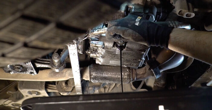 Wie lange braucht der Teilewechsel: Ölfilter am Fiat Ducato 250 Bus 2014 - Einlässliche PDF-Wegleitung