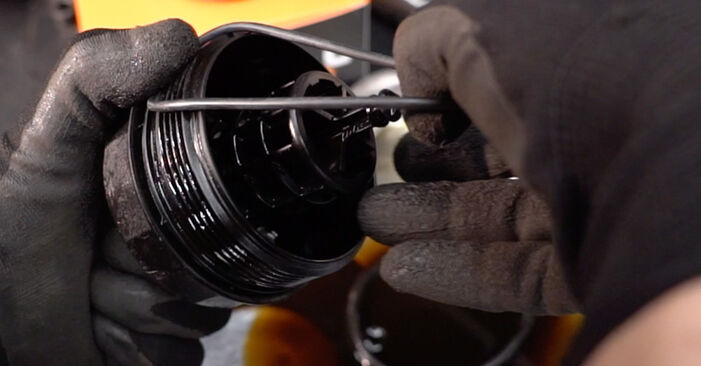 Changing Oil Filter on BMW 6 Coupe (F13) 640 d xDrive 2013 by yourself