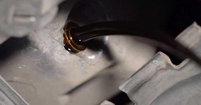 Sostituzione di Filtro olio motore BMW 7 SERIES 730 d0: guide online e tutorial video