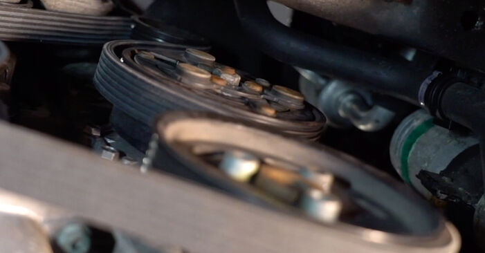 Svojpomocná výmena Klinový rebrovaný remen na aute VW T5 Transporter 2013 2.5 TDI