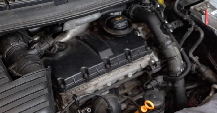 Cum să schimbați Filtru ulei la VW SHARAN (7M8, 7M9, 7M6) 2007 - sfaturi și trucuri utile