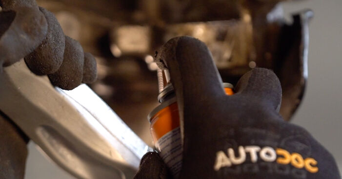 Wie lange benötigt das Auswechseln der Teile: Radlager beim Audi R8 42 2015 - Detailliertes PDF-Tutorial