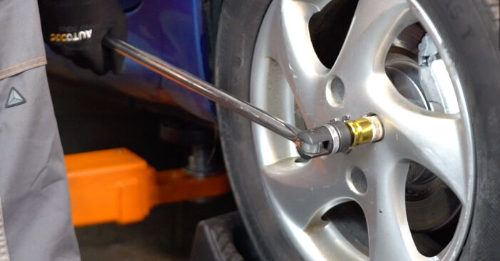 How to remove PEUGEOT 206 1.6 16V 2013 Shock Absorber - online easy-to-follow instructions