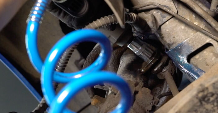How to change Springs on PEUGEOT 206 Van 2000 - tips and tricks