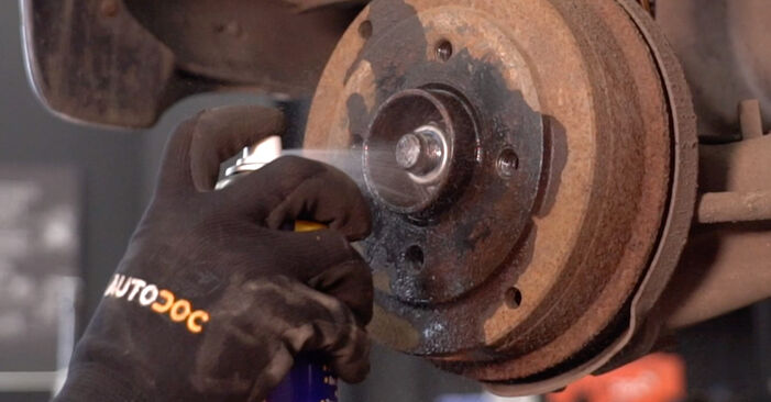 Wie kompliziert ist es, selbst zu reparieren: Radlager am Renault Twingo 1 Kastenwagen 1.2 1999 ersetzen – Laden Sie sich illustrierte Wegleitungen herunter
